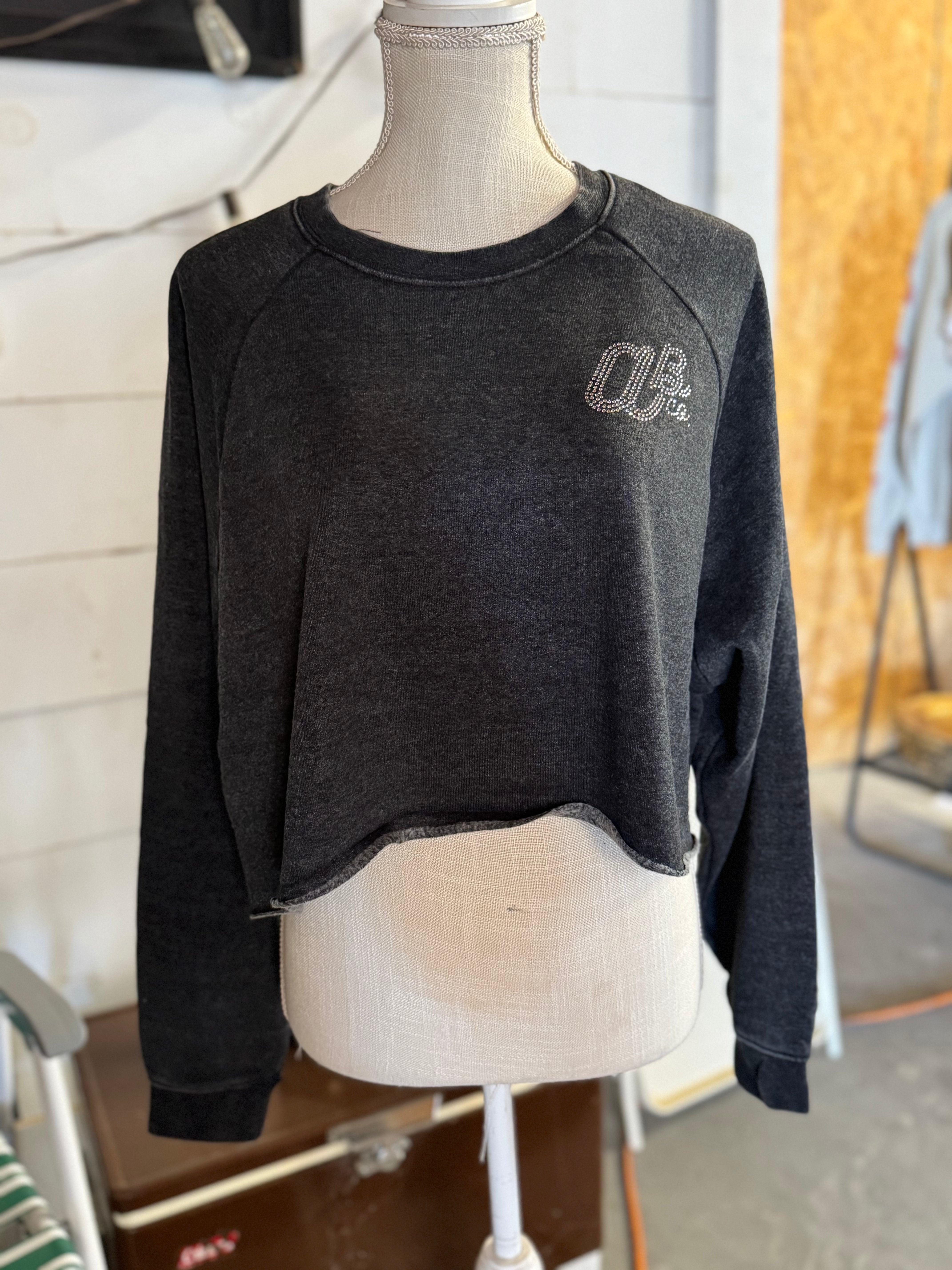 Laid Back Crop Sweatshirt