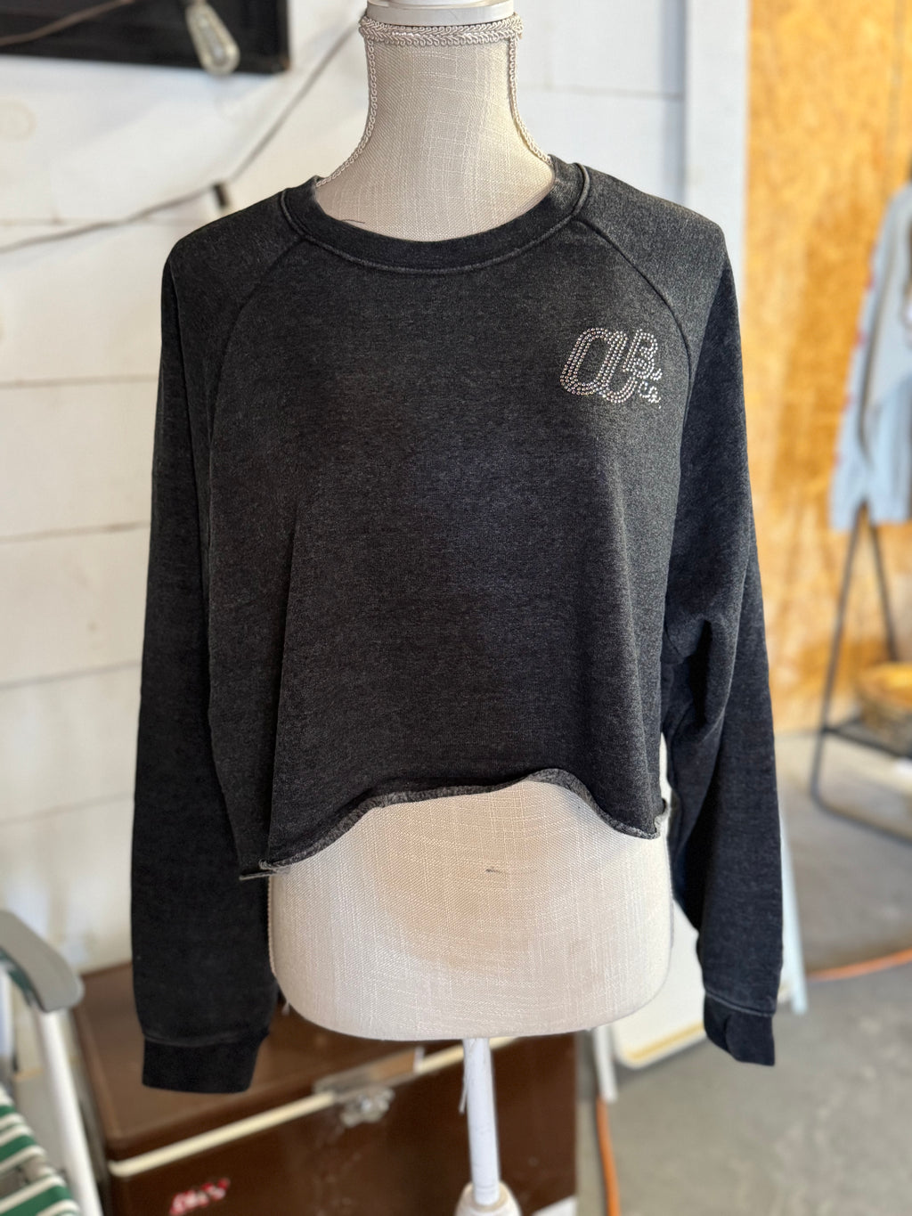 Laid Back Crop Sweatshirt